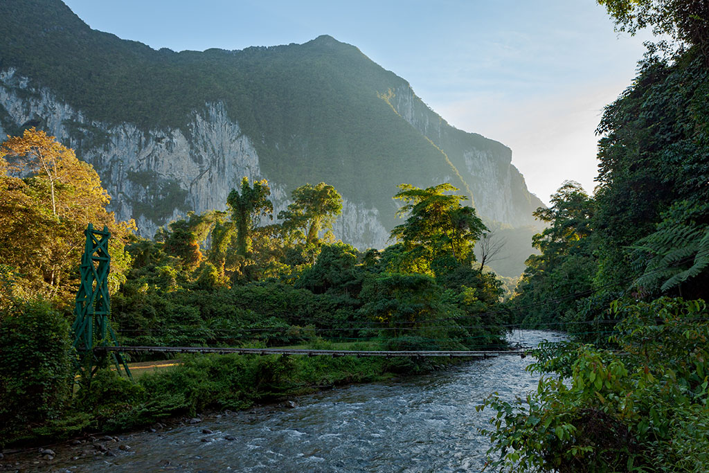 Borneo Rainforest, one of the oldest rainforests in the world