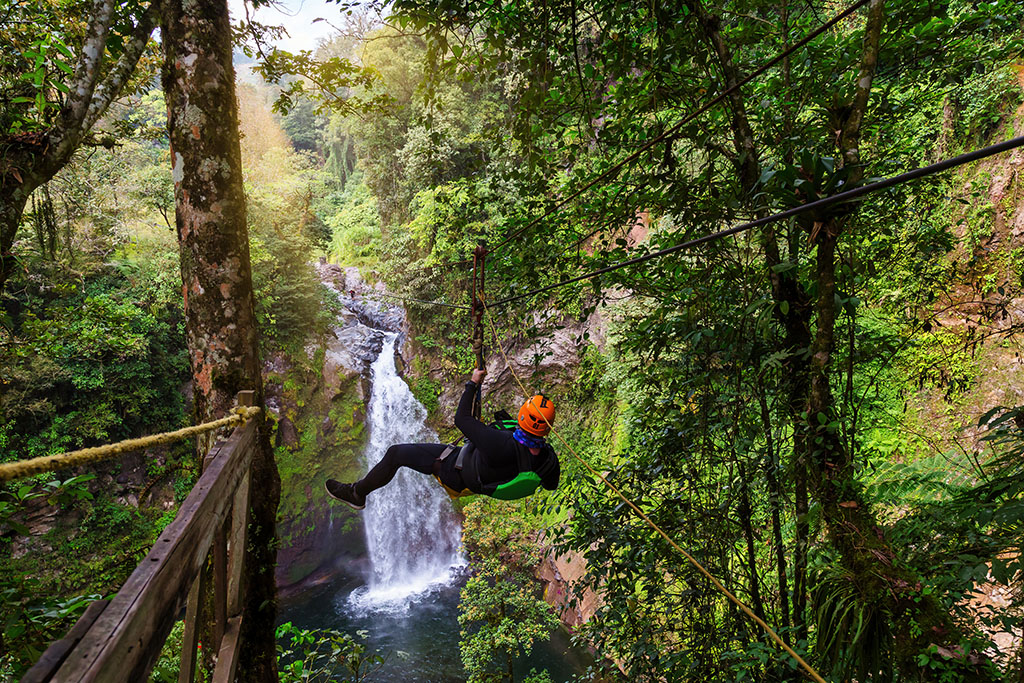 A set of ziplines across Puerto Vallarta jungle.